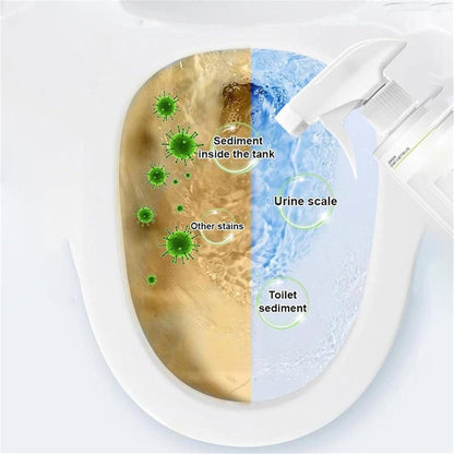 Multipurpose Oxalic Acid Stain Removal Spray